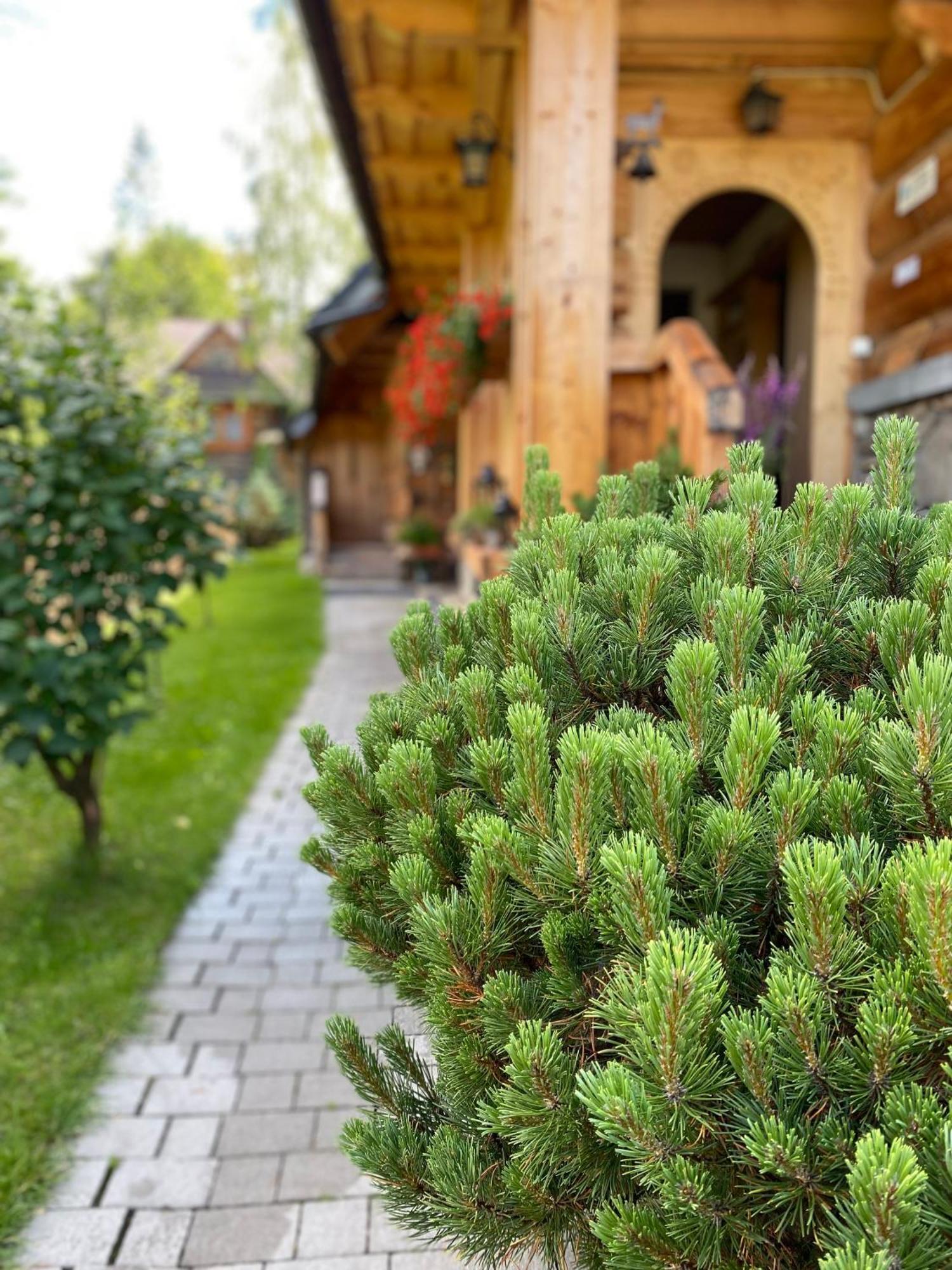 Apartamenty U Giewonta Zakopane Exterior photo